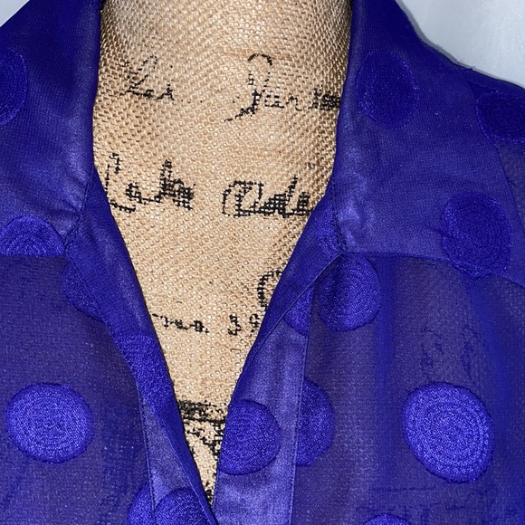 Dana Gibson Sheer Retro Blue Polka Dot Button Down Top M - Picture 7 of 12